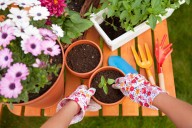 Registration now open for fall 2025 Foundations of Gardening Course