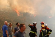 La recuperación tras el fuego: "No volveremos a tener bosques en décadas, pero especies como las encinas y los pinos pueden regenerarse de forma natural"