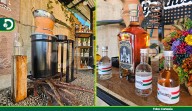 La tapetusa: el licor artesanal que guarda más de 300 años de historia en Guarne