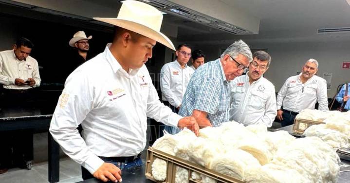 Impulsan proyectos estratégicos para el fortalecimiento del campo de Tamaulipas