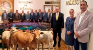 Sheinbaum se reúne con Durazo: anuncia programa especial ante cierre de frontera para exportación de ganado a EEUU