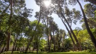 Previsión meteorológica para este viernes, 29 de agosto, en Albacete