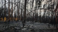 Portugal vivió el incendio más devastador de su historia: hay cuatro muertos y más de 64 mil hectáreas destruidas