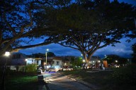 El Samán, el nuevo bosque urbano que florece en El Cerrito, Valle