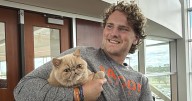'Pudge The Cat' has everyone purring on the Bowling Green football team