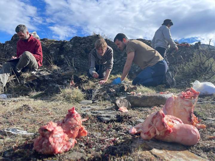Investigadores españoles resucitan a ‘los fantasmas’ de los campamentos neandertales