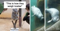 50 Of The Most Blessed Images From This Online Community To Boost Your Mood