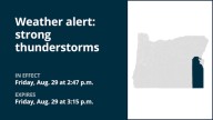 Penny-sized hail predicted with thunderstorms in Malheur County Friday – gusts up to 40 mph