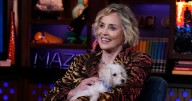 'Basic Instict' Star Sharon Stone Reveals She Dated Much