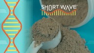 Scientists create chocolate flavor with microbes : Short Wave : NPR