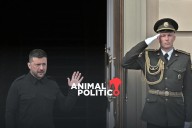 Zelenski insiste en reunión con Putin ante estancamiento de conversaciones: “es la forma más eficaz”