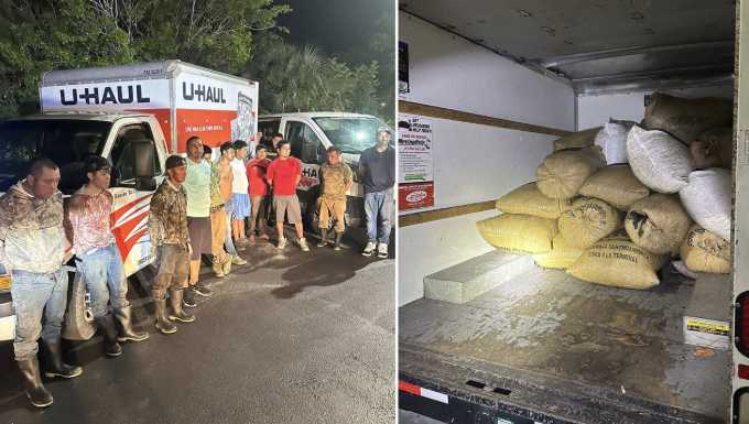 11 arrested after 6,000 pounds of saw palmetto berries illegally harvested, sheriff’s office says 