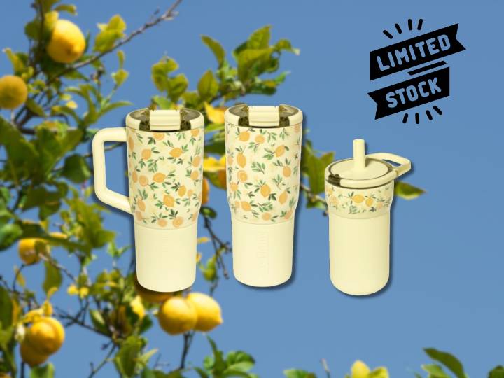 This wildly popular BruMate Limoncello collection is almost sold out — here are the last 3 items you can still grab