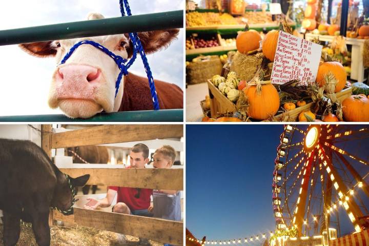 What To Expect At Maine's Upcoming Agricultural Fairs
