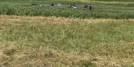 Authorities say 2 dead in plane crash north of Clay County airport