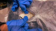 Los mega decomisos de droga que cimbraron al narco en la CDMX