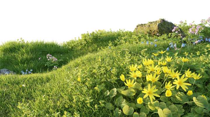 The Long-Term Solution For Improving Heavy Clay Soil In Sloped Gardens