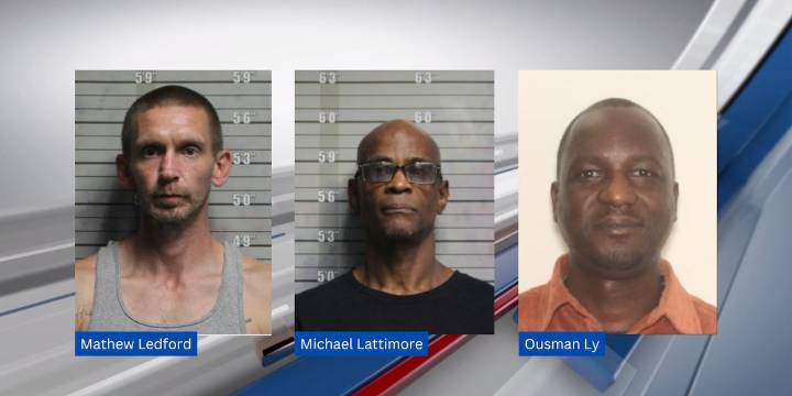 Sting operation leads to arrest of 4 sex offenders, including 2 illegal immigrants