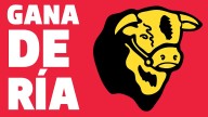 Ganadería bovina en Sonora: la crisis que golpea a uno de los pilares económicos