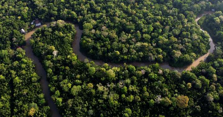 Brazil COP30 climate summit too pricey for some nations