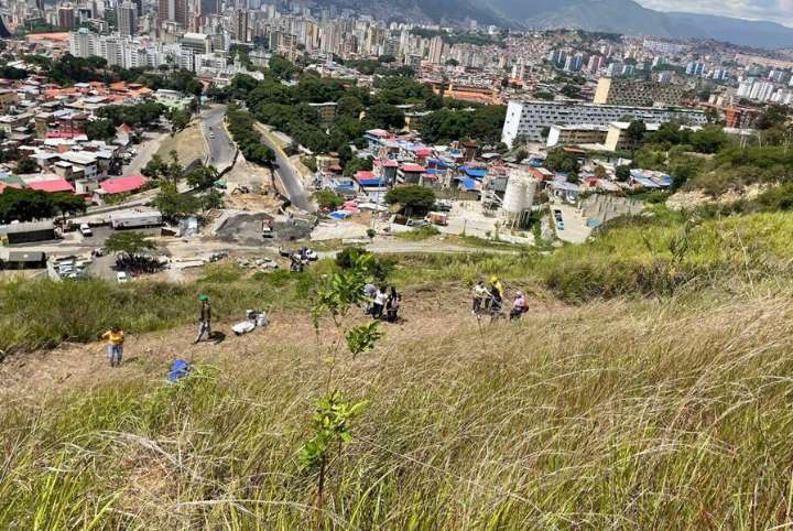 Ministerio del Poder Popular para el Ecosocialismo siembra más de 74 mil plantas