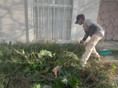 El regreso de Giovanni, el niño migrante