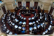 Senado debate emergencia pediátrica, financiamiento universitario y vetos de Milei