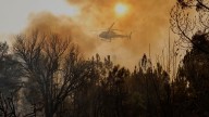 Última hora de los incendios en España | Detenido un hombre como presunto autor por imprudencia de un incendio en Zamora