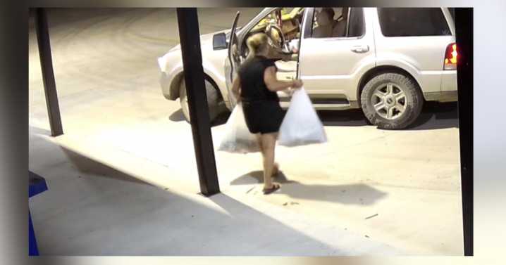 Thieves caught on camera stealing donations from Leon County Food Pantry