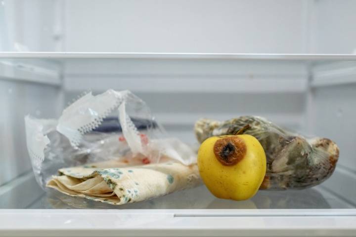 Expertos revelan cuándo y por qué descartar estos alimentos