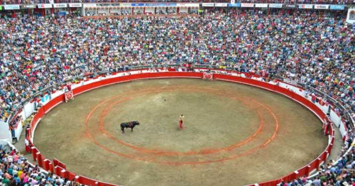 Tradición y toros: así se prepara la 71.ª Temporada Taurina en Manizales para enero de 2026