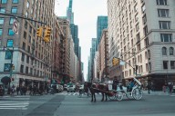 Central Park Conservancy endorses horse