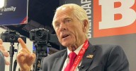 Exclusive -- Peter Navarro Calls For Investigation of Corrupt FBI Agents: Walter Giardina 'Not a Martyr'