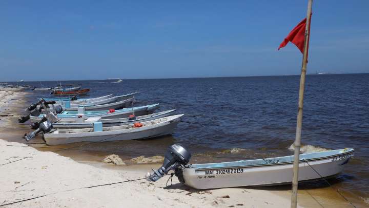 Confirman marea roja en Yucatán: activan medidas sanitarias en la costa