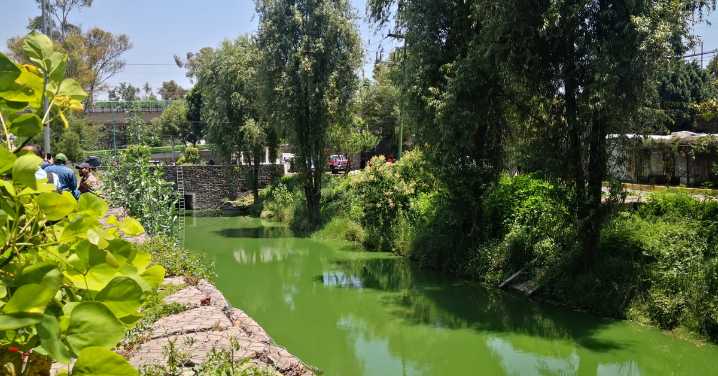 Identifican a joven hallada muerta en el Canal Nacional