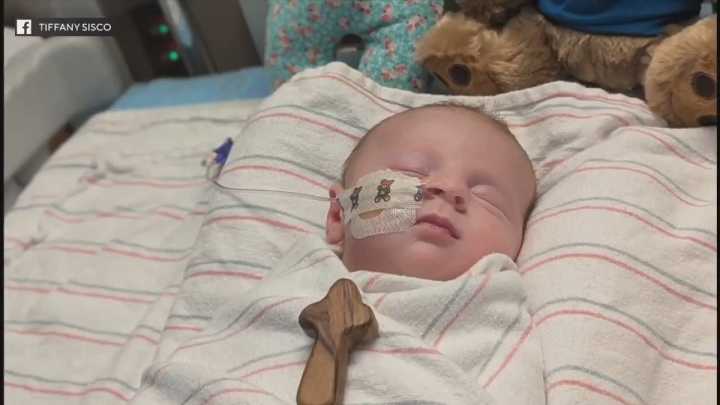 Rare tick-borne Powassan virus suspected of infecting newborn on Martha’s Vineyard: “She is still fighting”