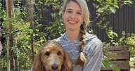 Ask The Vet: What to know about traveling with your pet
