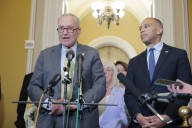The House Is on Fire and Democrats Are Debating Paint Colors