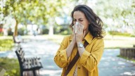 Hay fever: new immunotherapy approved in England for people with severe birch pollen allergies