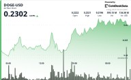 DOGE Hits 23-Cents on Whale Buying, Supply Zone Stalls Breakout