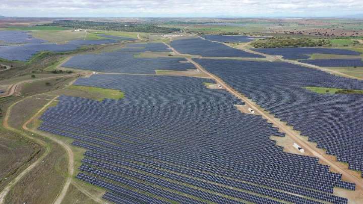 Ofensiva jurídica contra la expropiación y tala de olivares tradicionales por las multinacionales fotovoltaicas