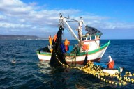 Sector Pesca creció 34.8% en julio del 2025 por mayor captura de anchoveta