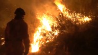 Las penas por incendios forestales pueden alcanzar los 20 años de cárcel