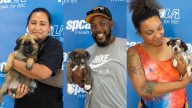 All 26 Puppy Palooza pups have found new homes