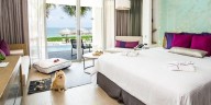 Quintana Roo adapta su oferta al auge del turismo pet friendly
