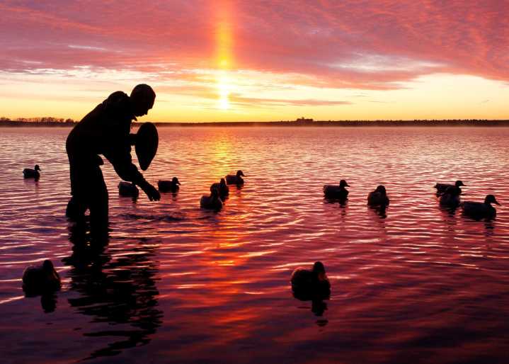 New North Dakota law requires waterfowl hunters to buy a state habitat stamp