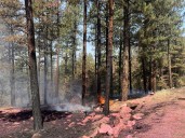 2 arrested on suspicion of arson in Oak fire near Pagosa Springs