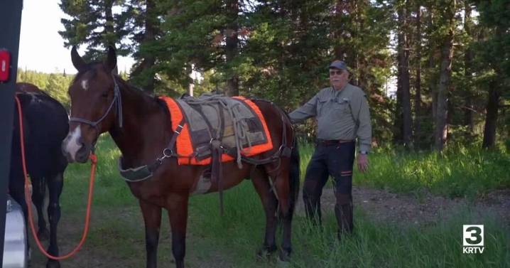 Backcountry horsemen work to clear trails for all