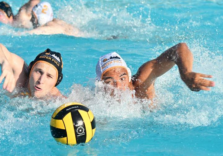 Pittsburgh Renegades water polo has been battling in the pool, producing Hall of Famers for 50 years