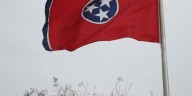 2 TN gun laws struck down in court, including making it illegal to carry gun in public park
